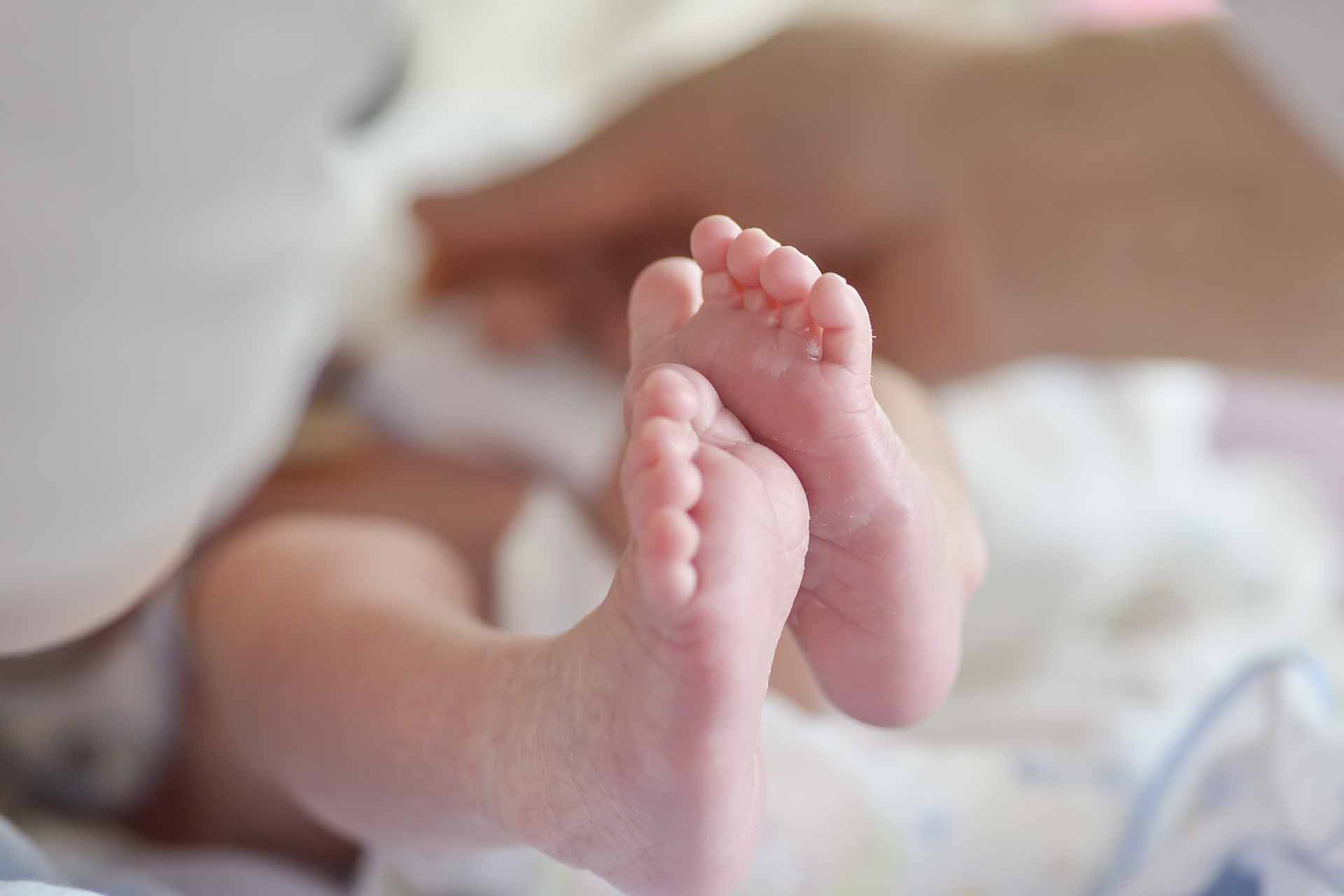 Novembro Roxo, campanha de conscientização e sensibilização sobre à prematuridade Novembro Roxo, campanha de conscientização e sensibilização sobre à prematuridade